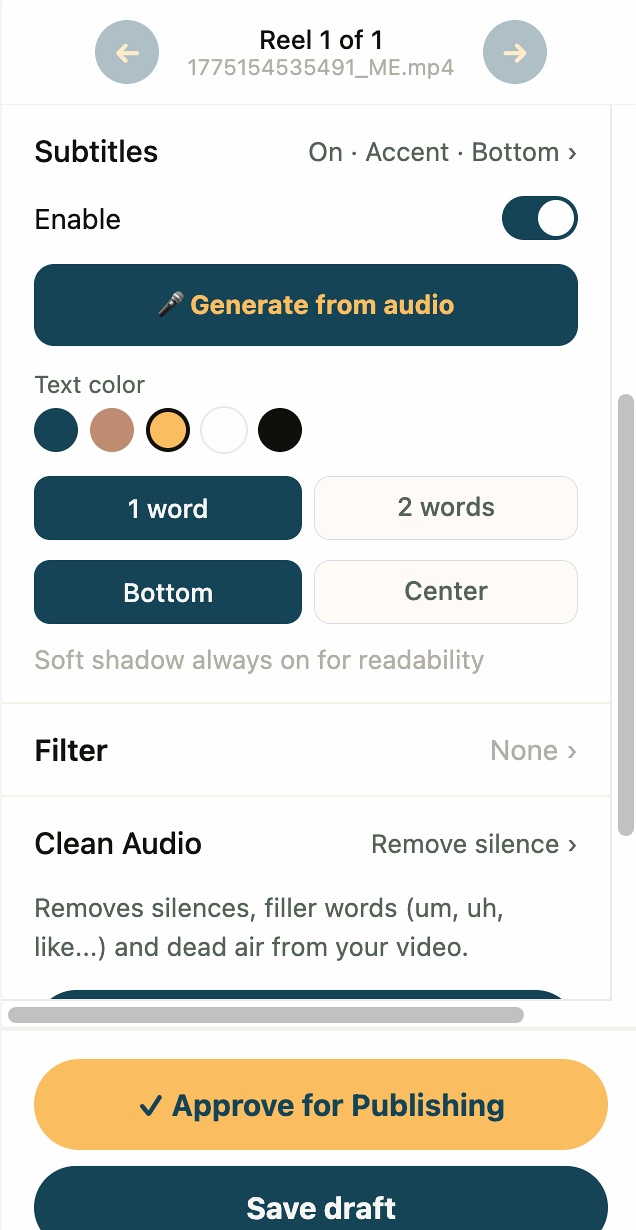 Reel subtitle settings with color picker and word-by-word option